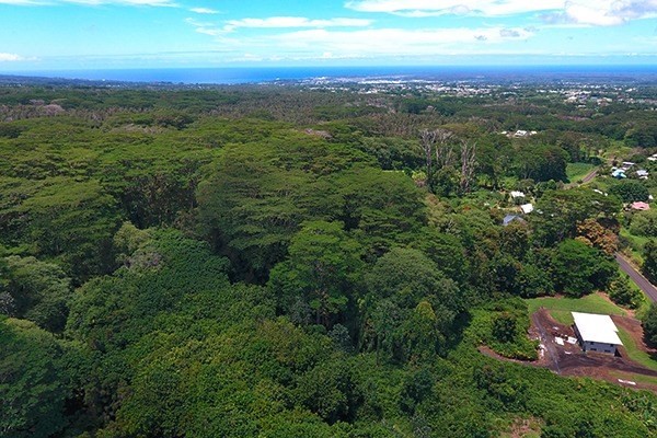 490 Hoaka Road Hilo, HI 96720 - Photo 3 of 9 an aerial view of residential houses with outdoor space and trees