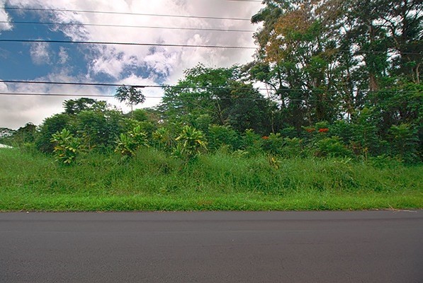 490 Hoaka Road Hilo, HI 96720 - Photo 5 of 9 a backyard of a house with lots of green space
