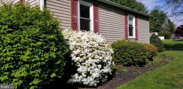 15929 Attleboro Road Silver Spring, MD 20905 - Photo 45 of 46 Azalea bushes on the side of the home