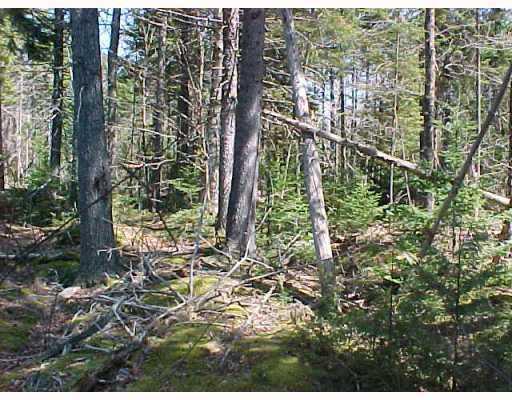 0 East E Ridge Cooper, ME 04657 - Photo 4 of 15 Land/Lot. interior