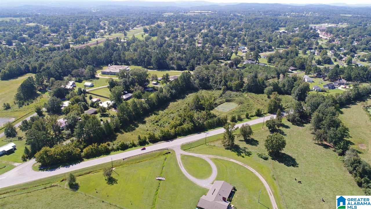 1002 Arkadelphia Road Hanceville, AL 35077 - Photo 3 of 11