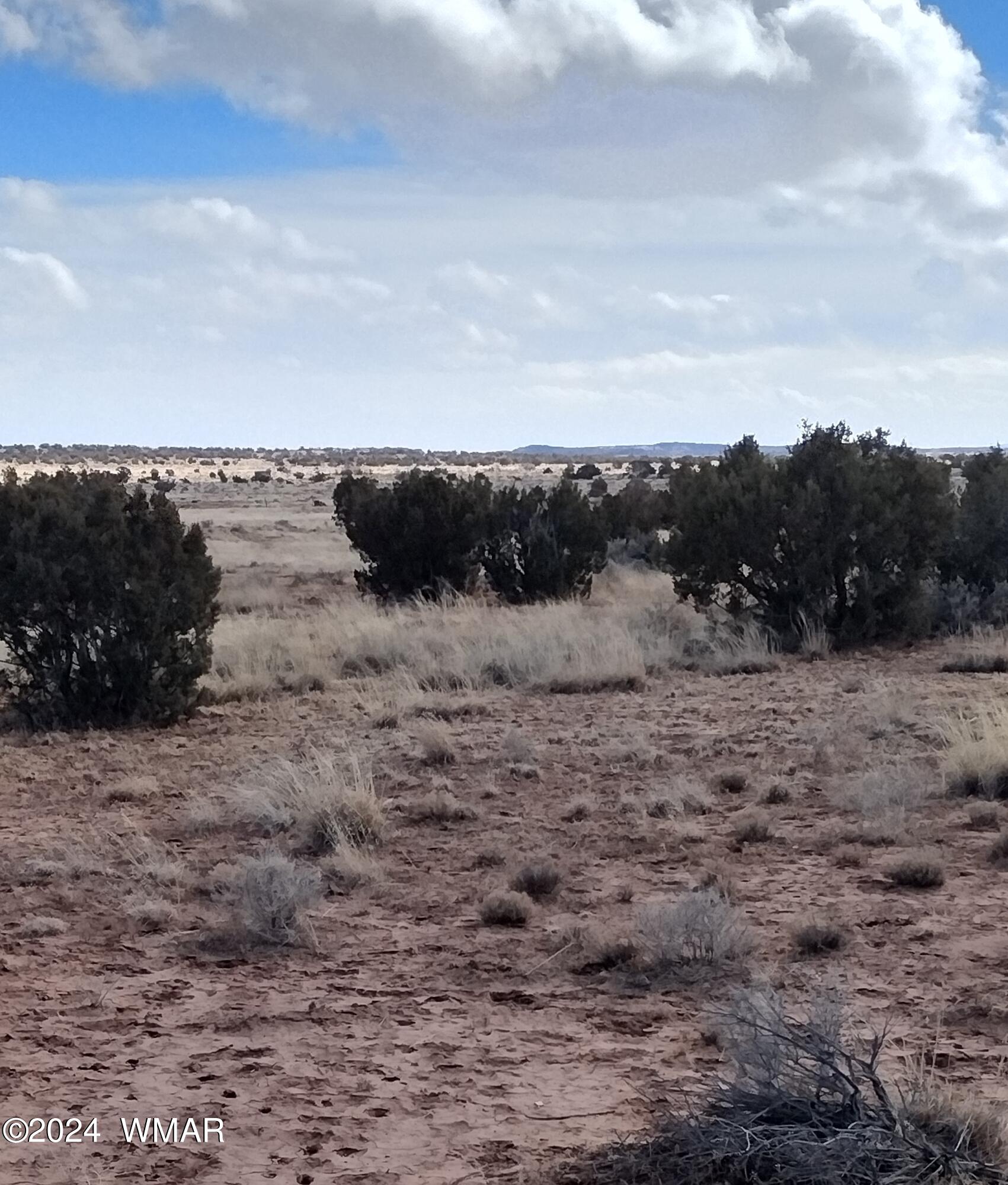 8167 Concho Highway Snowflake, AZ 85937 - Photo 2 of 8