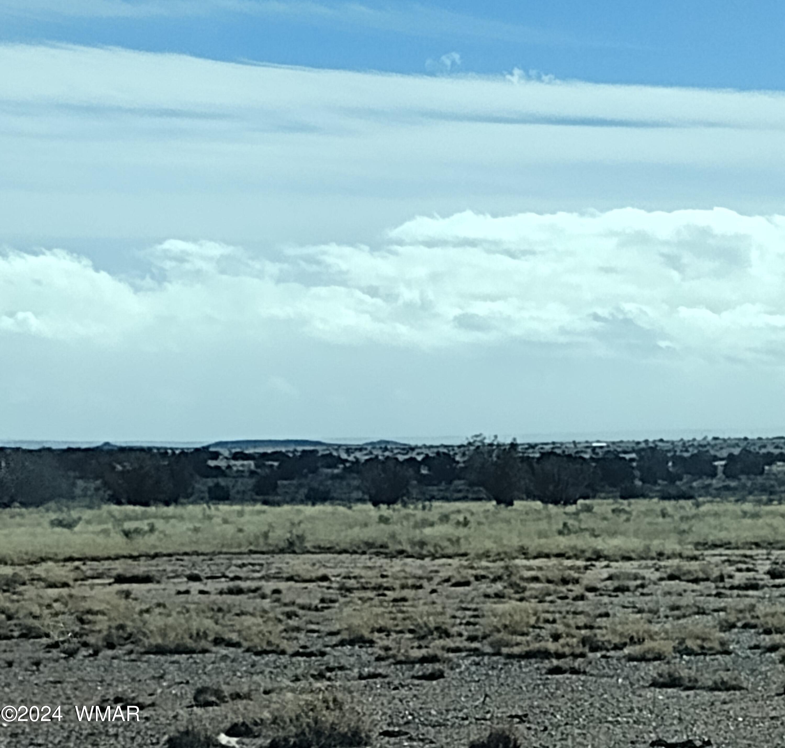 8167 Concho Highway Snowflake, AZ 85937 - Photo 4 of 8