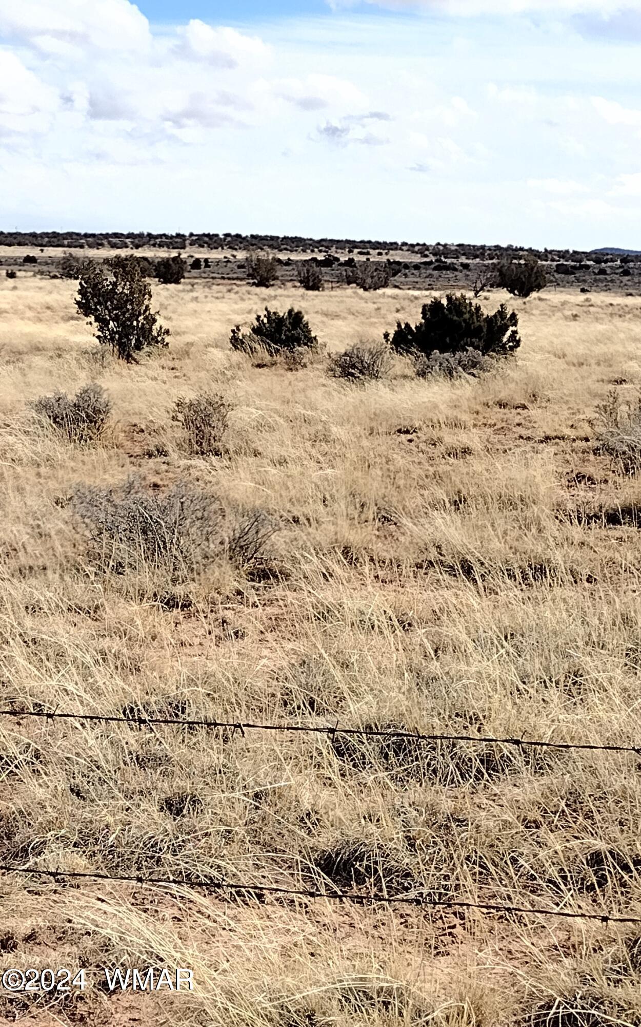 8167 Concho Highway Snowflake, AZ 85937 - Photo 6 of 8
