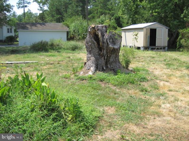 26876 Deal Island Road Princess Anne, MD 21853 - Photo 9 of 9