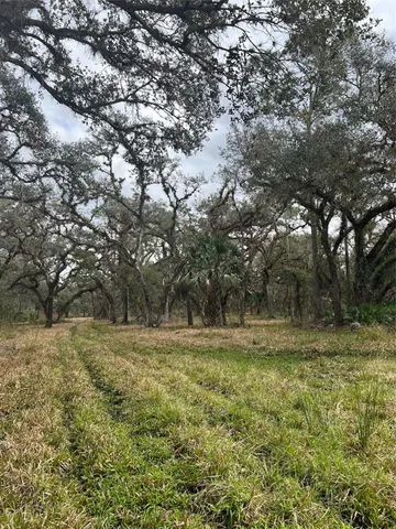 a view of a yard with large trees