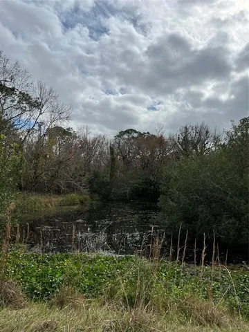 a view of backyard with green space