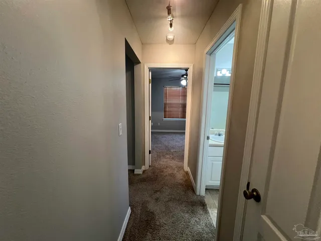 a bathroom with a shower and a toilet