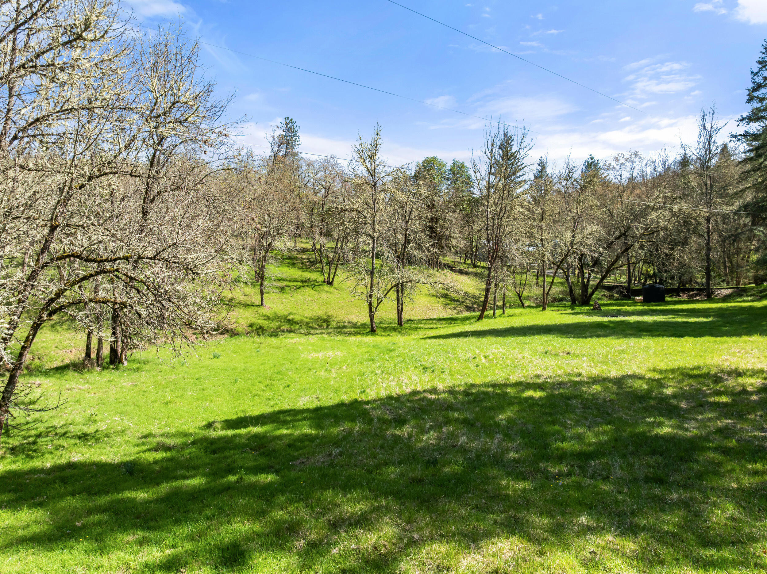 1237 Daisy Creek Road Jacksonville, OR 97530 - Photo 4 of 31 1237-daisy-creek-rd-dr-36