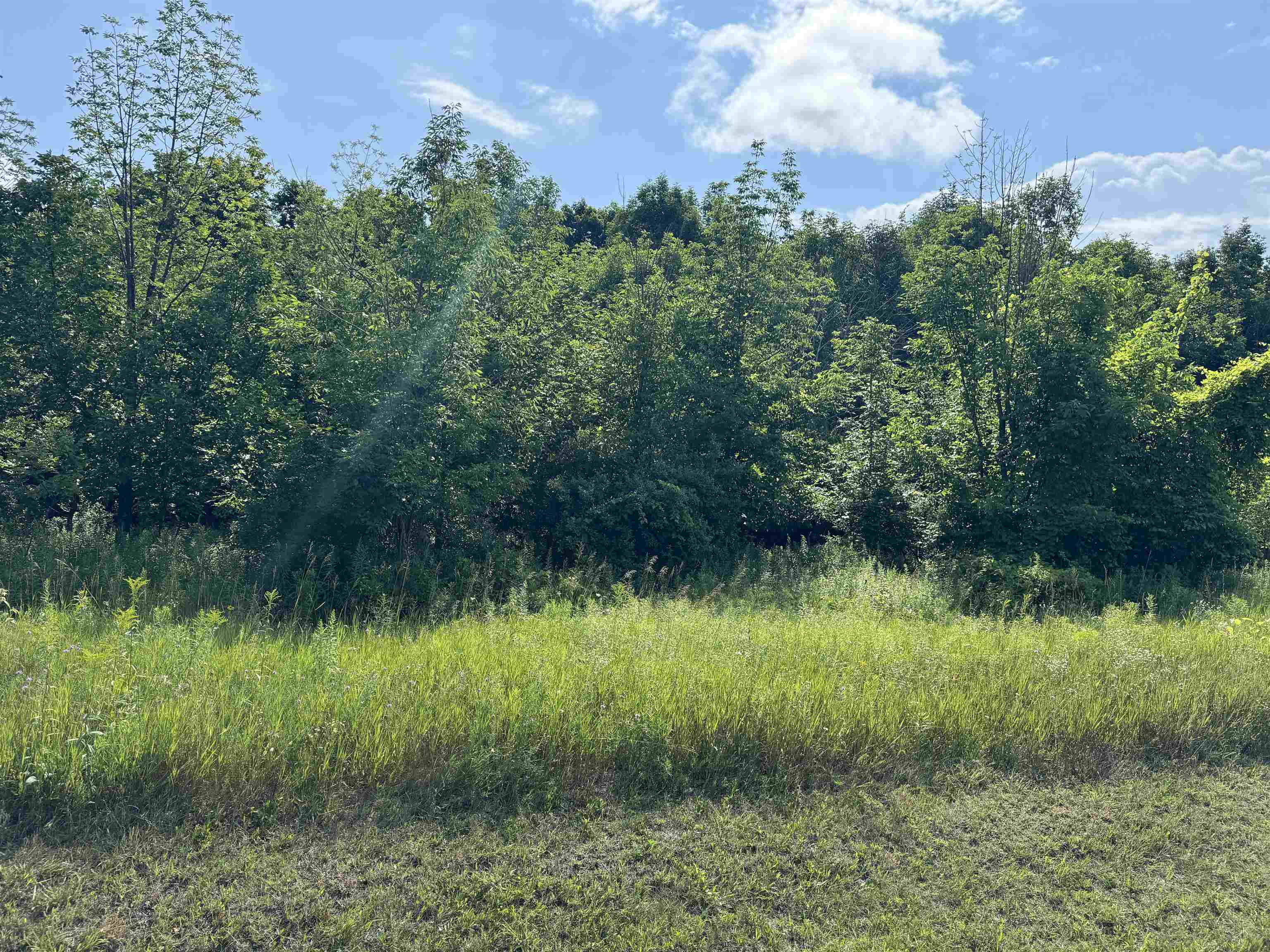 On Powell Road Kewadin, MI 49648 - Photo 7 of 7