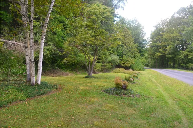 $295,000 | 3855 Texas Hollow Road, Hector, NY 14818