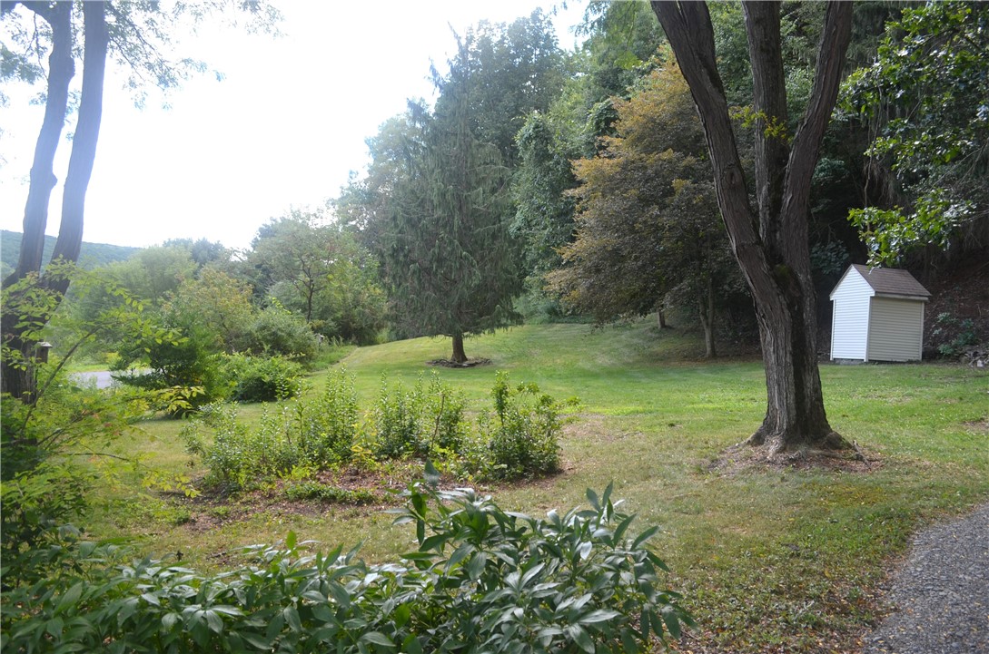 3855 Texas Hollow Road Hector, NY 14818 - Photo 44 of 50 Yard And Oringal Outhouse