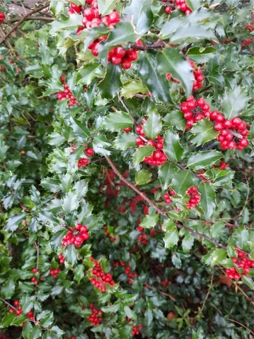 $295,000 | 3855 Texas Hollow Road, Hector, NY 14818