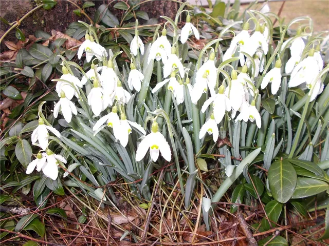 $295,000 | 3855 Texas Hollow Road, Hector, NY 14818