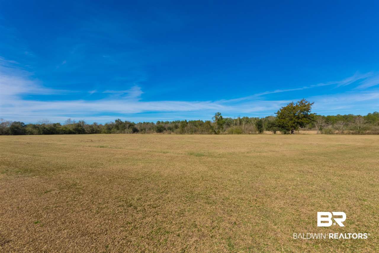 21801 County Road 28 Foley, AL 36535 - Photo 14 of 41