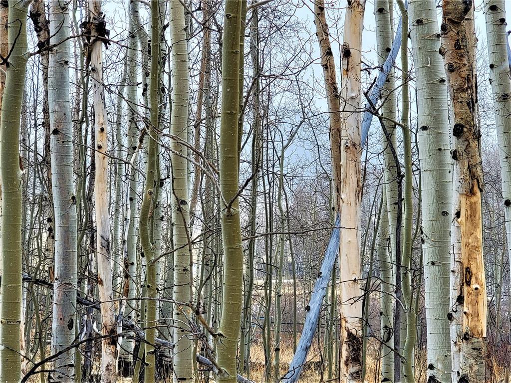 Tbd Sheep Ridge Road Fairplay, CO 80440 - Photo 15 of 15