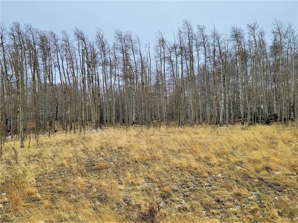 Tbd Sheep Ridge Road Fairplay, CO 80440 - Photo 4 of 15 a view of wooden fence