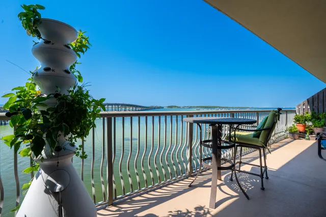 a view of a lake with a city