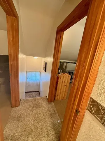 a bathroom with a toilet and a shower curtain