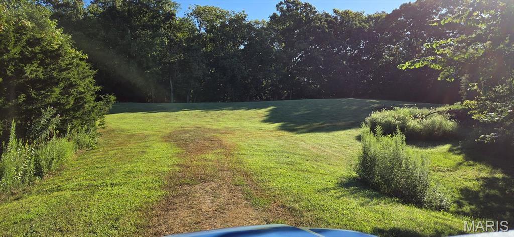 0 Clayton Road Waterloo, IL 62298 - Photo 5 of 8