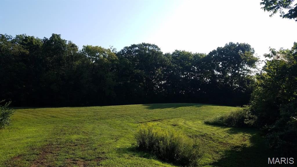 0 Clayton Road Waterloo, IL 62298 - Photo 6 of 8