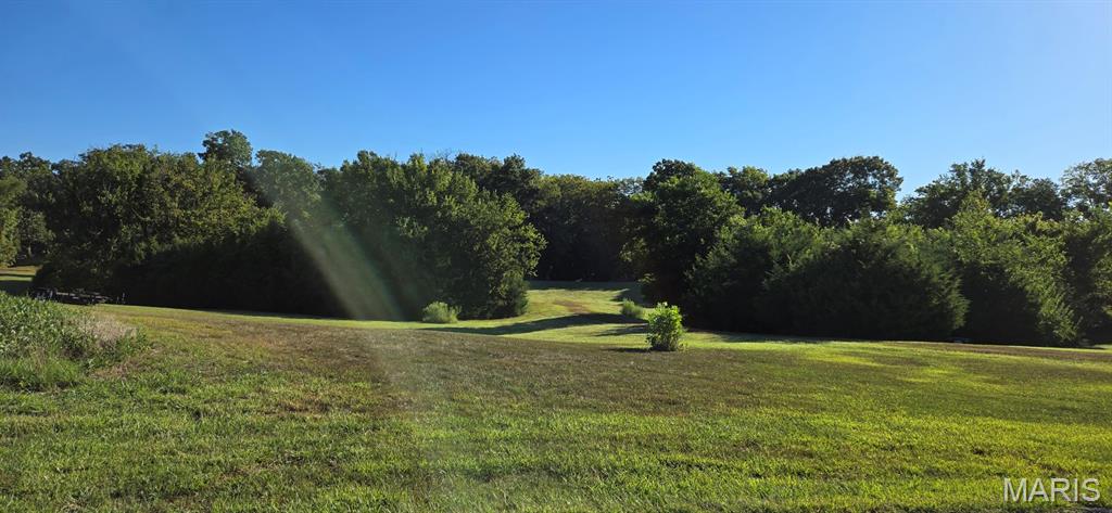 0 Clayton Road Waterloo, IL 62298 - Photo 7 of 8