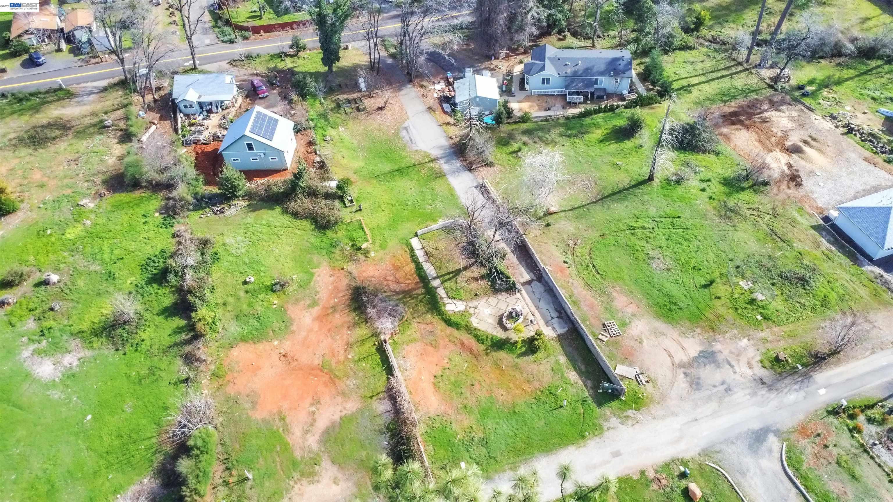 a view of a yard with plants