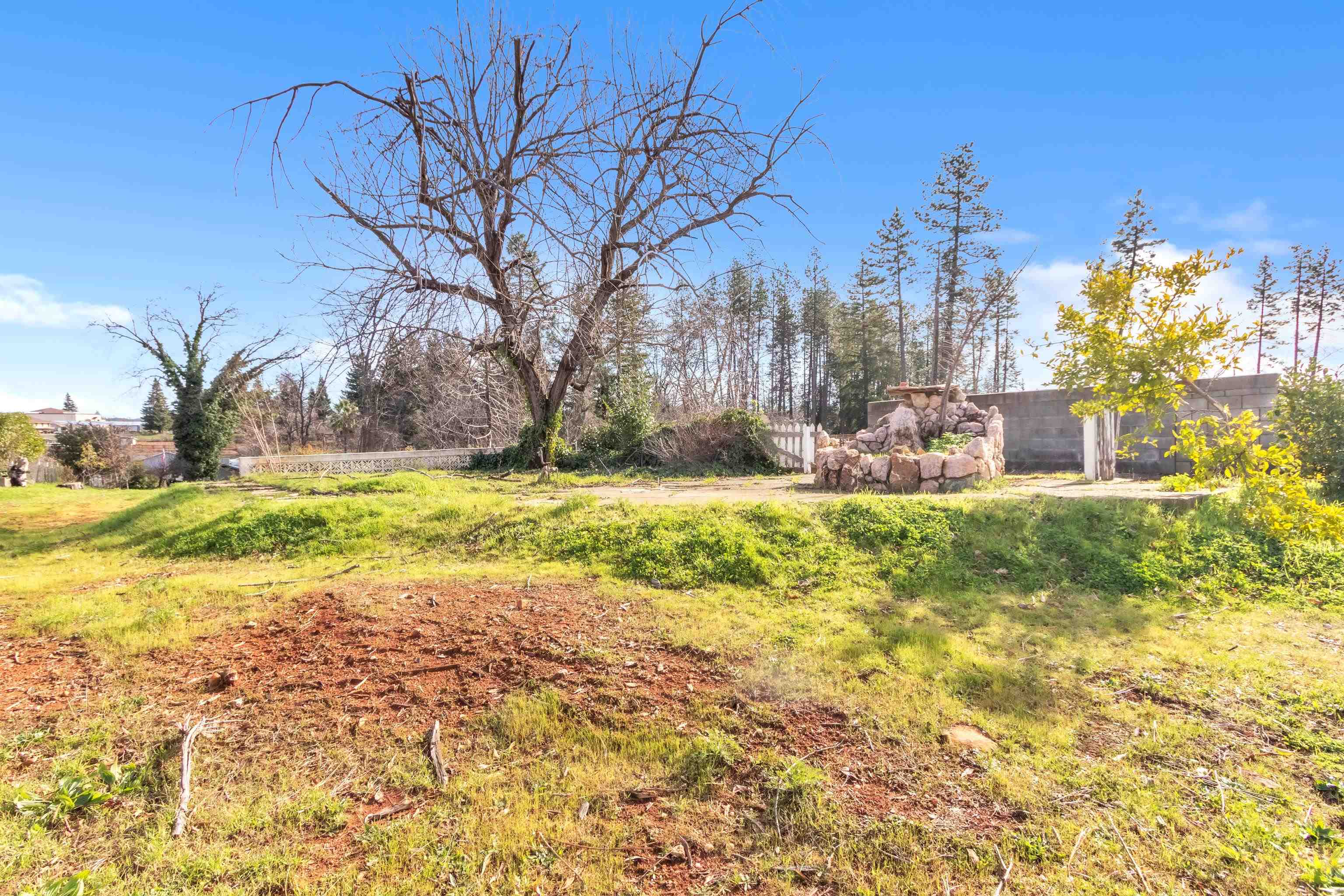 6251 Harvey Road Paradise, CA 95969 - Photo 27 of 48 a view of a yard with yellow house