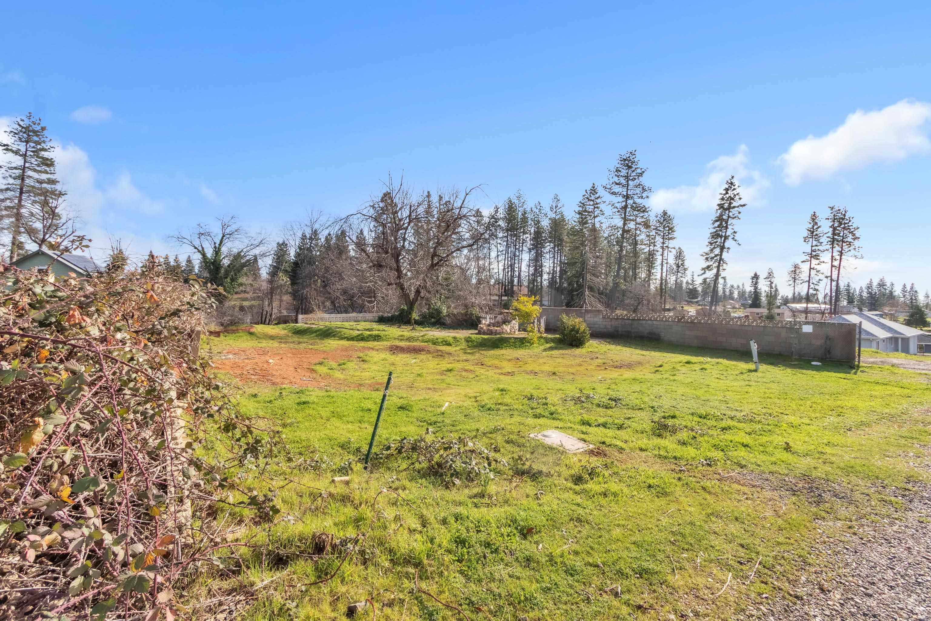 6251 Harvey Road Paradise, CA 95969 - Photo 32 of 48 a view of yard with swimming pool and trees