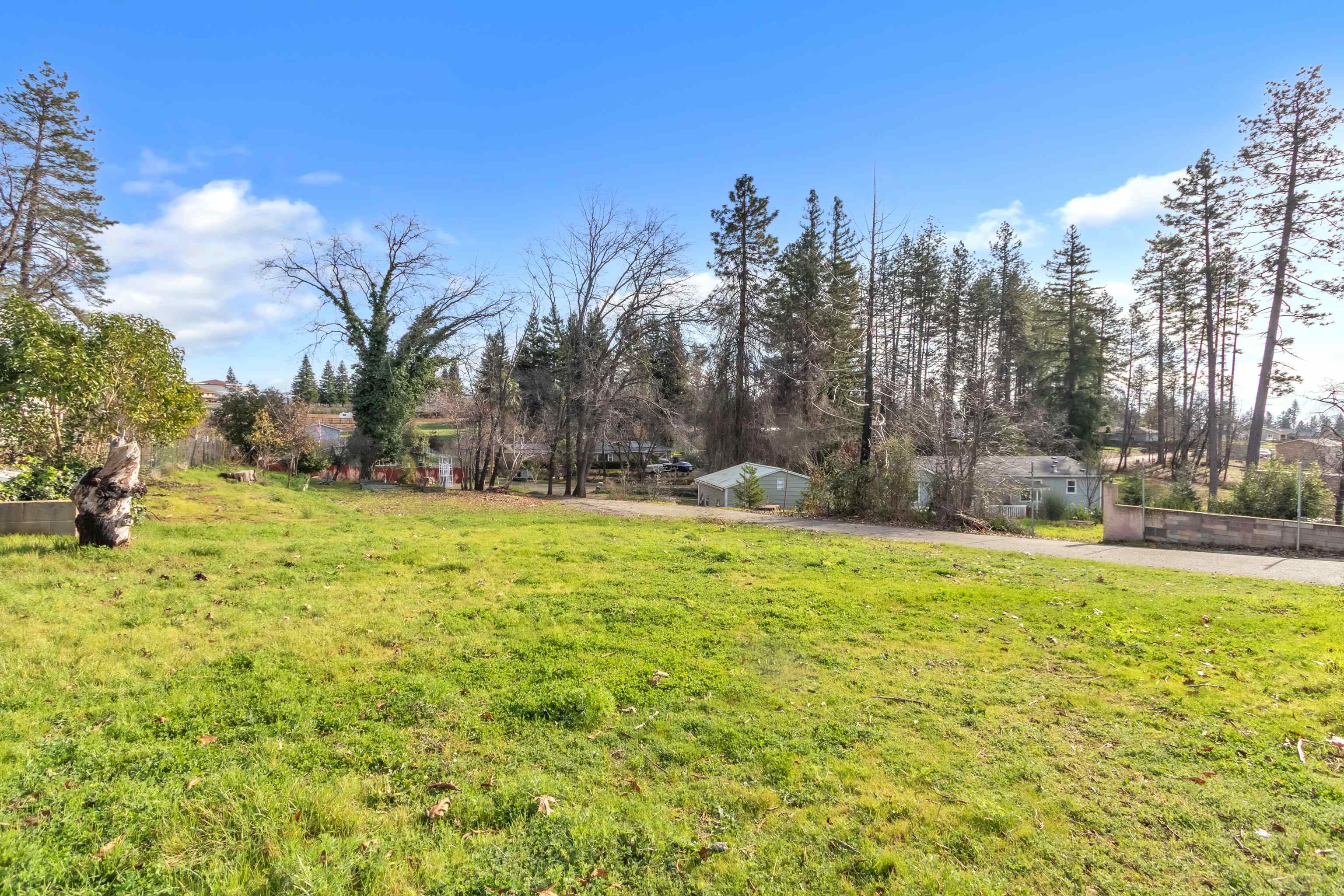 6251 Harvey Road Paradise, CA 95969 - Photo 33 of 48 a view of yard with swimming pool and trees