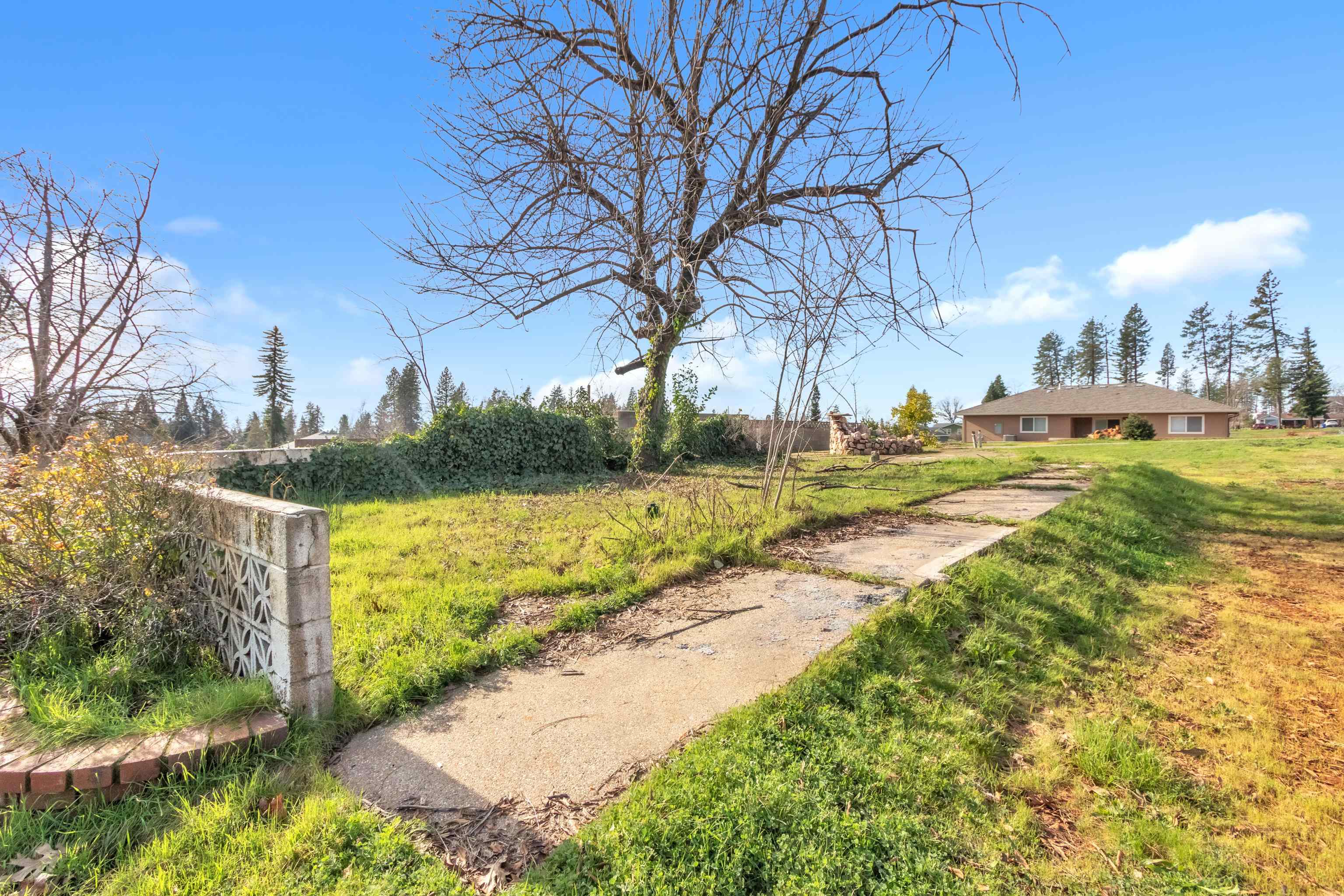 6251 Harvey Road Paradise, CA 95969 - Photo 35 of 48 a view of a yard with an trees