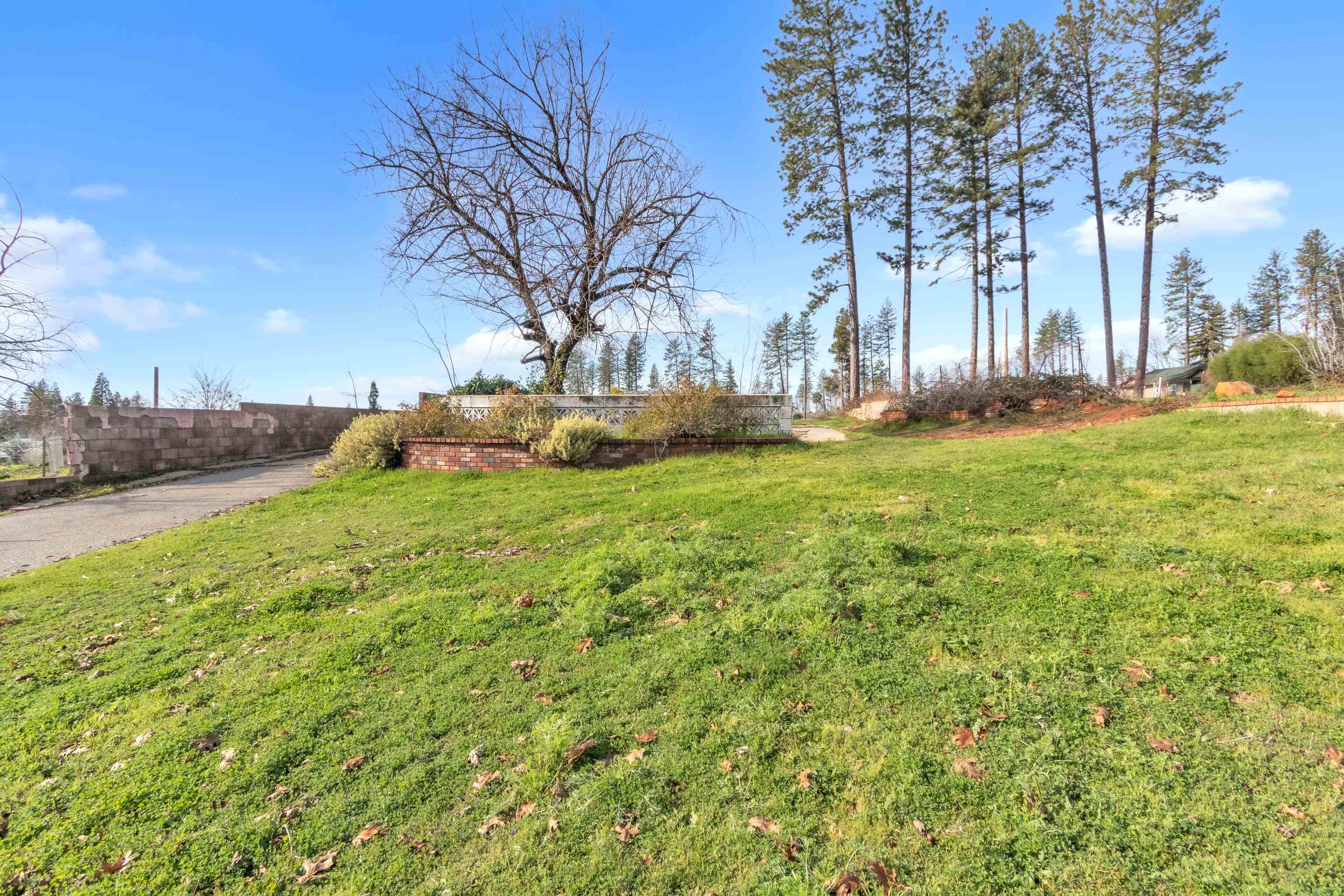 6251 Harvey Road Paradise, CA 95969 - Photo 39 of 48 a view of a field with large trees