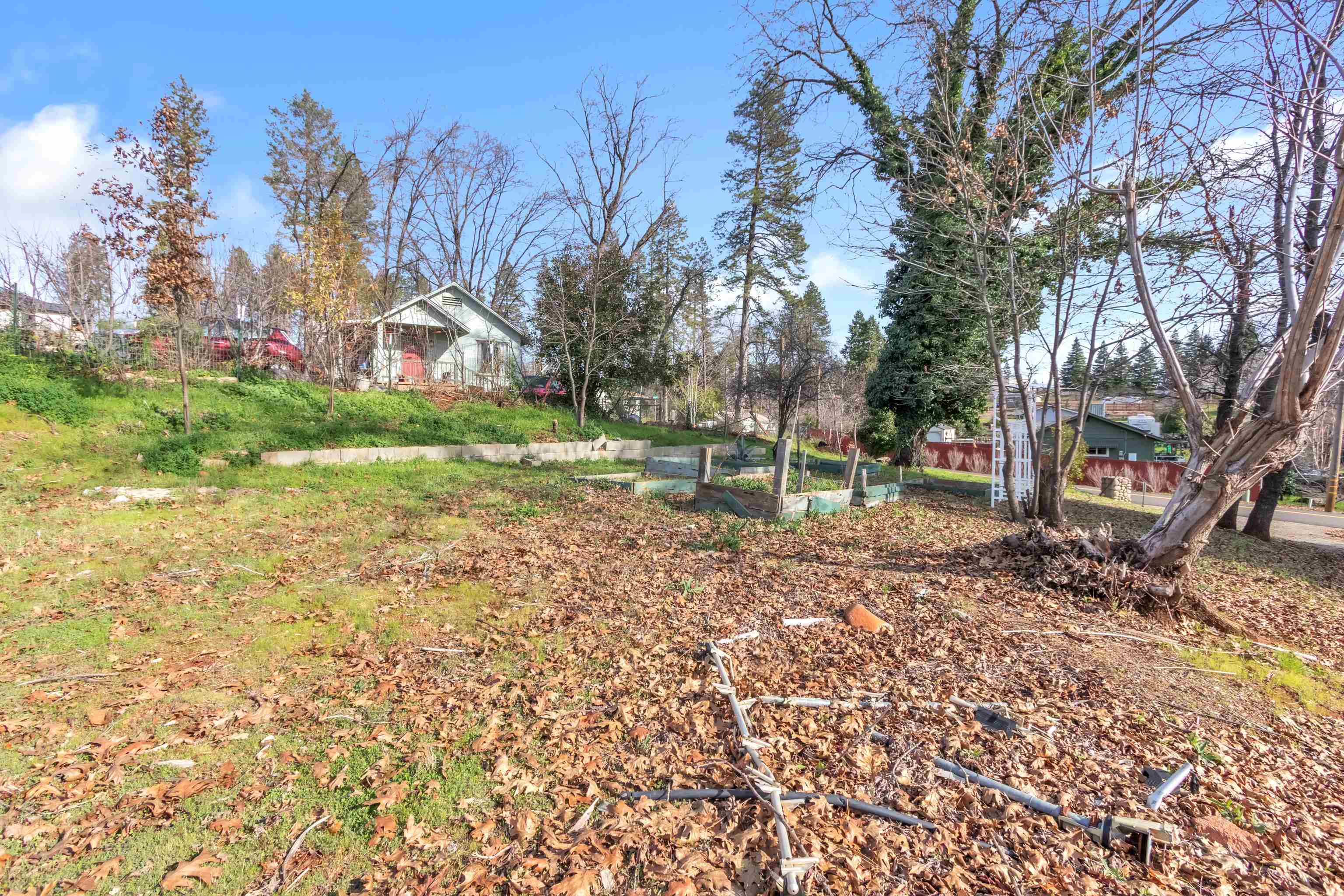 6251 Harvey Road Paradise, CA 95969 - Photo 43 of 48 a view of a yard with a tree