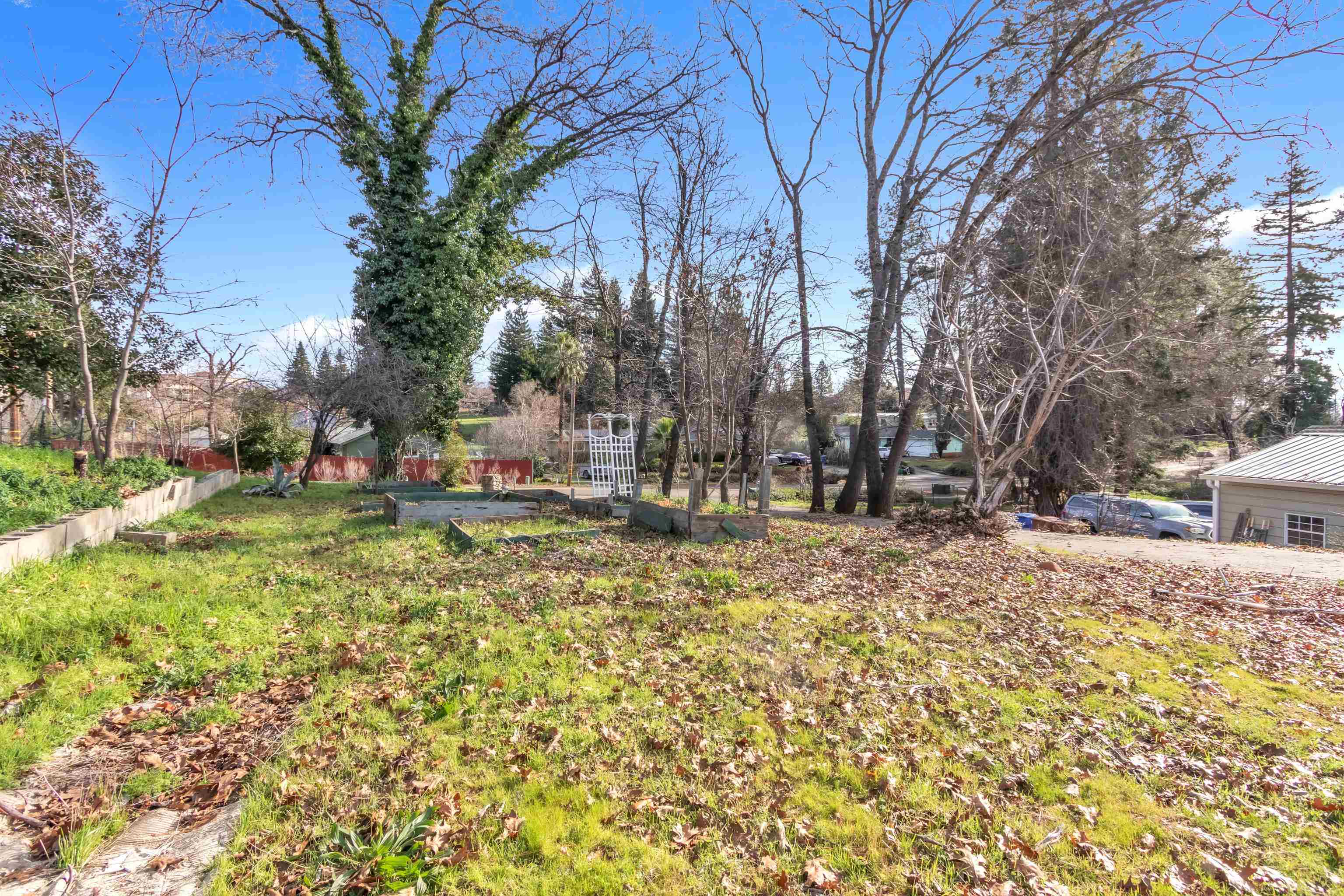 6251 Harvey Road Paradise, CA 95969 - Photo 45 of 48 a view of yard with swimming pool and trees