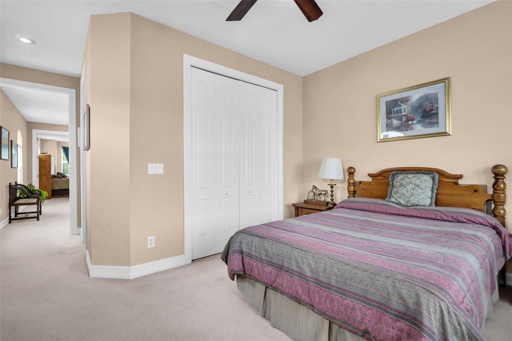 1460 Ribolla Drive Palm Harbor, FL 34683 - Photo 37 of 47