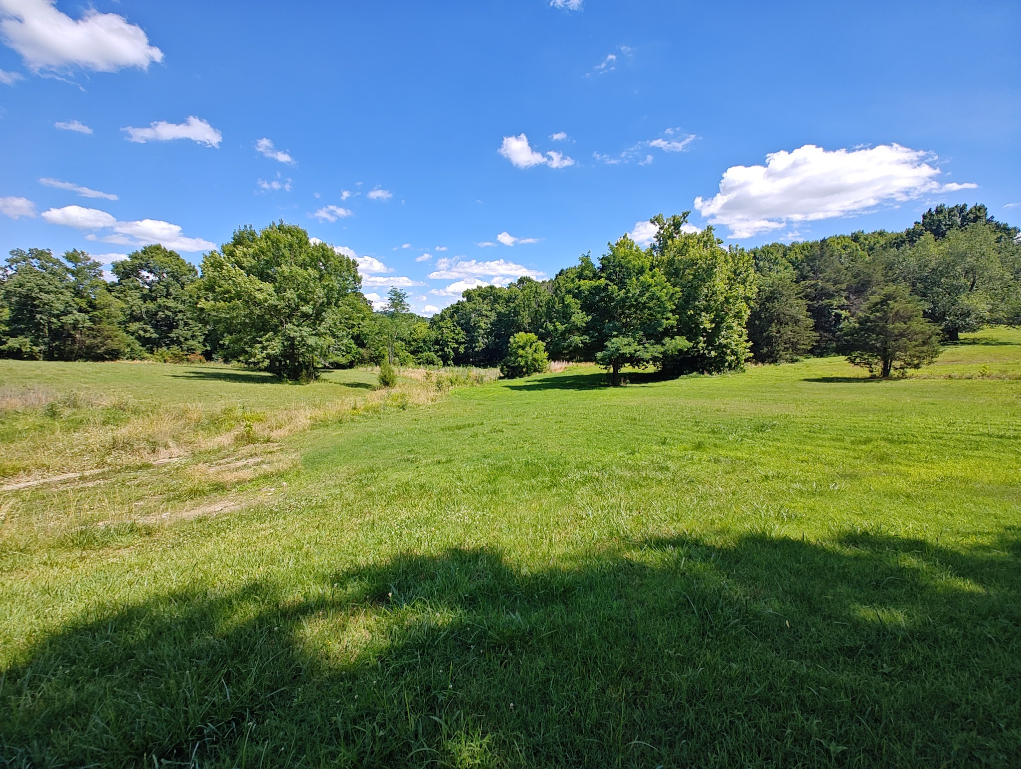 2770 Beech Log Road Watertown, TN 37184 - Photo 71 of 87