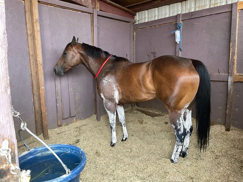 38013 Foothill Road Lucerne Valley, CA 92356 - Photo 25 of 26