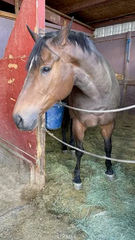 $479,900 | 38013 Foothill Road, Lucerne Valley, CA 92356