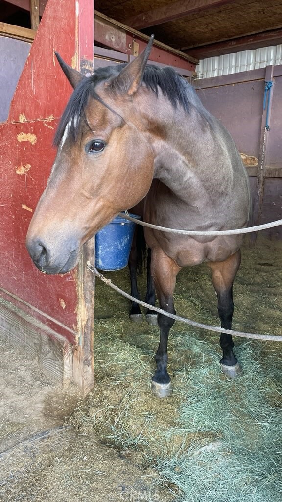 38013 Foothill Road Lucerne Valley, CA 92356 - Photo 26 of 26