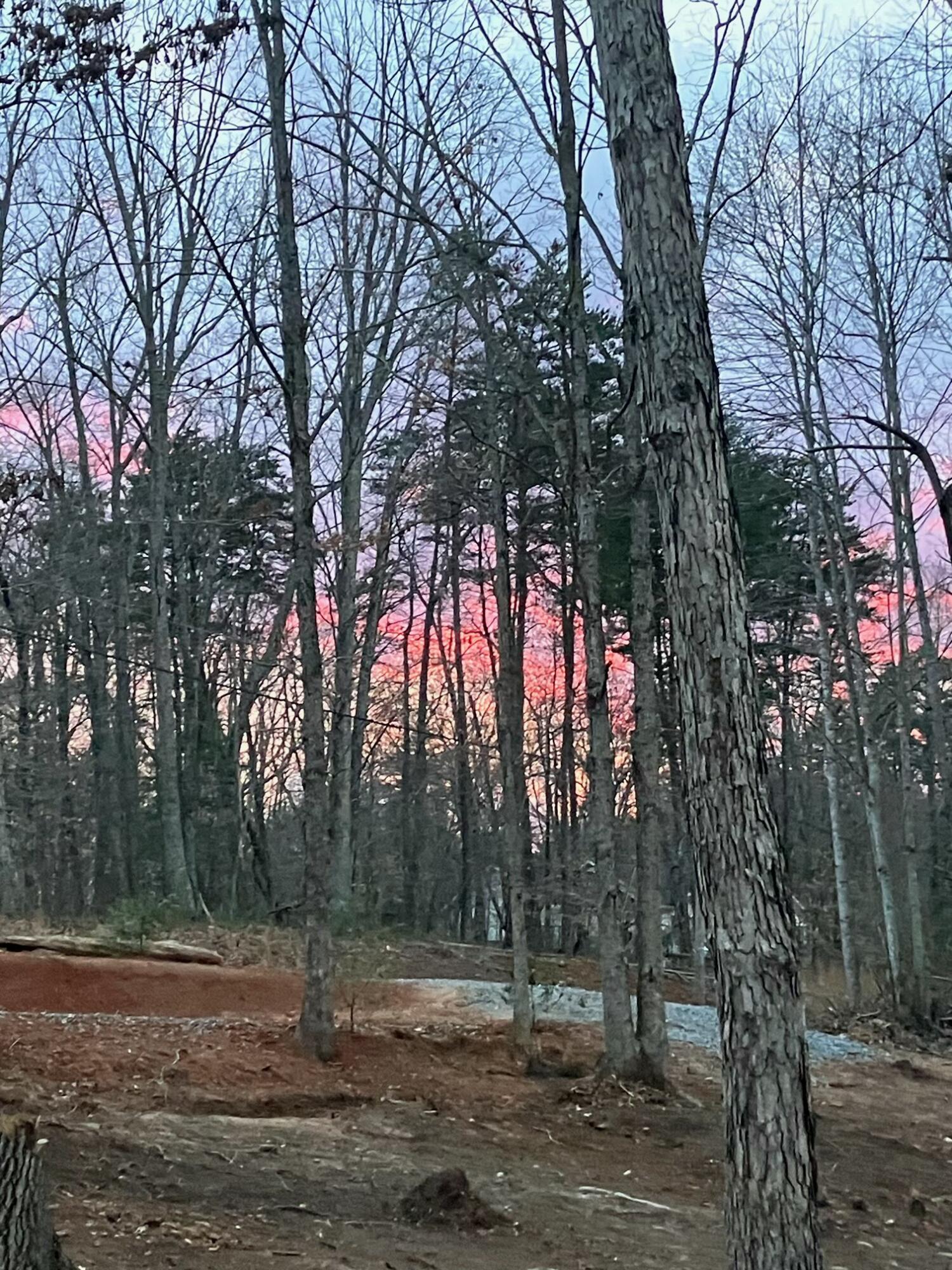 Lot 12 Gap Bridge Road Moneta, VA 24121 - Photo 1 of 14 a view of road with trees