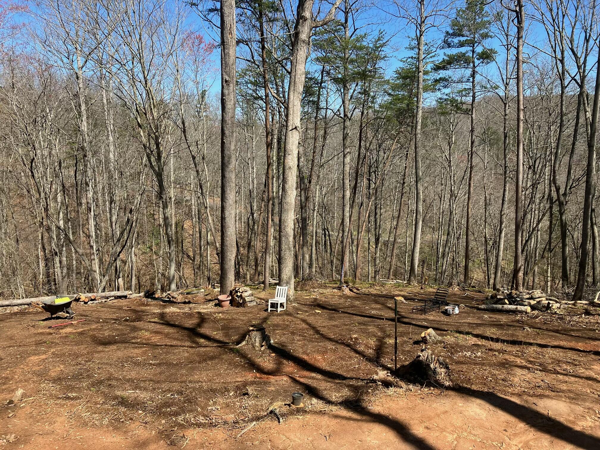 Lot 12 Gap Bridge Road Moneta, VA 24121 - Photo 6 of 14 a view of a park with trees