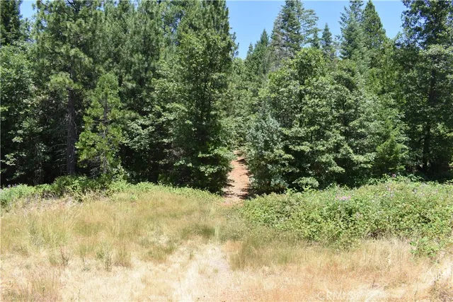 a view of a yard covered in snow