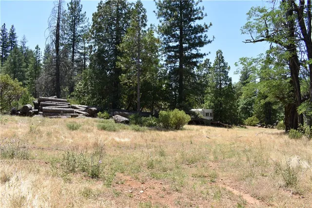 a view of outdoor space with deck and trees