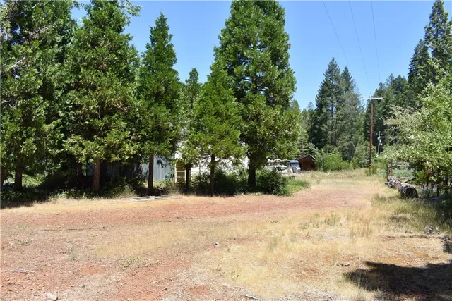 a view of outdoor space yard and trees