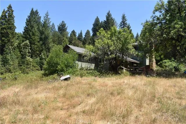 a backyard of a house with plants and trees