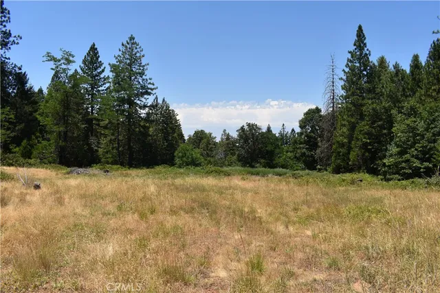 a view of a yard with a tree