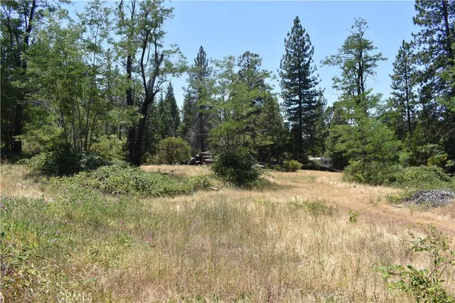 a view of a yard with a tree