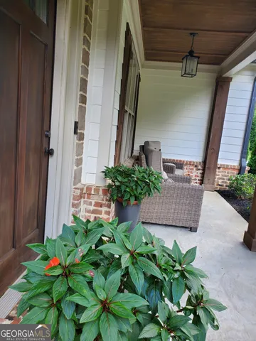 a flower view in a garden