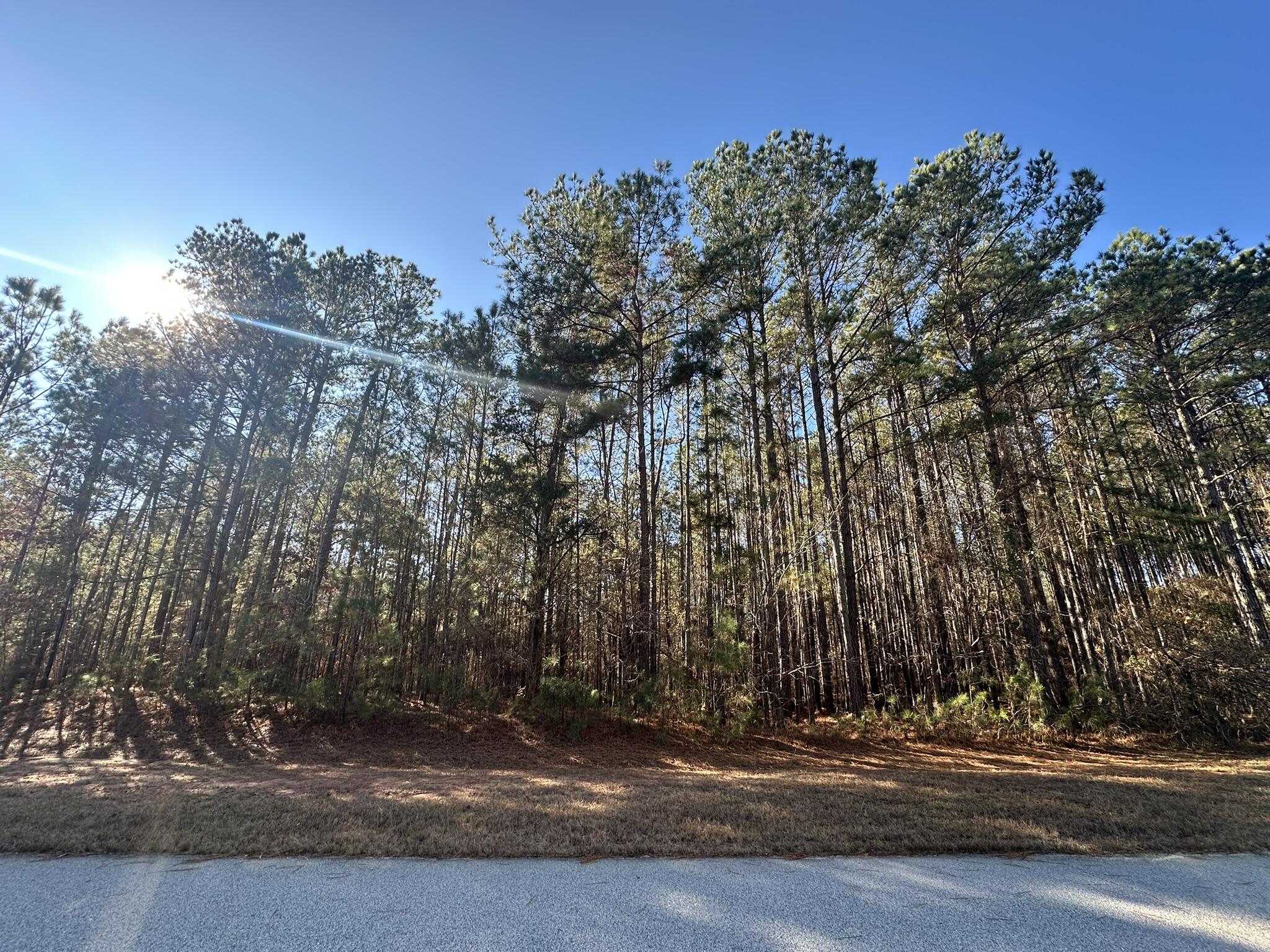 1252 Rogers Road Tignall, GA 30668 - Photo 1 of 29 Road Frontage