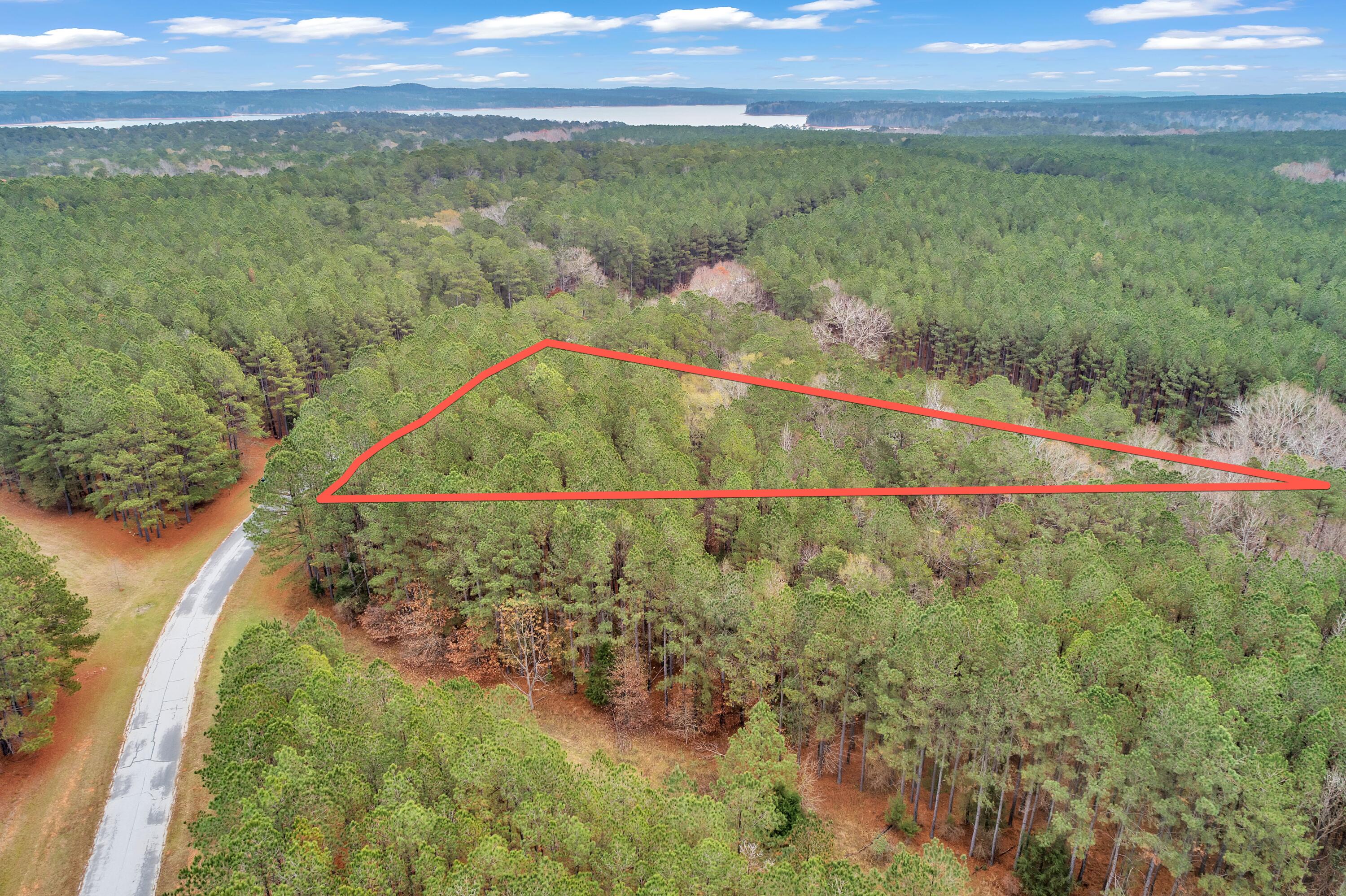 1252 Rogers Road Tignall, GA 30668 - Photo 16 of 29 1252 Rogers Rd, 200ft View, Drone-7-Lot